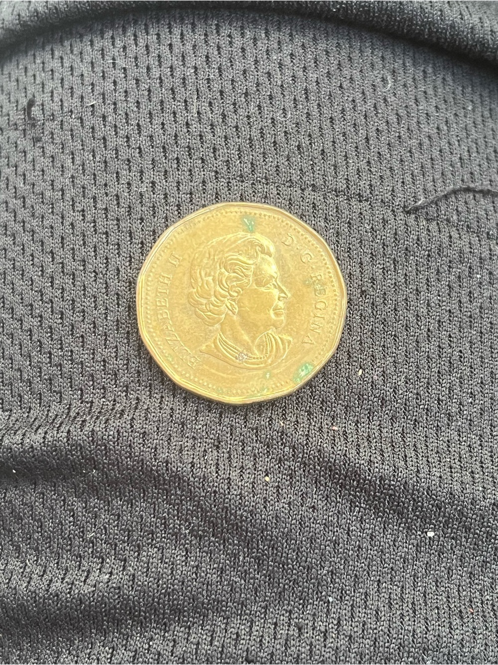 Goldsign Gold-Colored Round Coin Accent